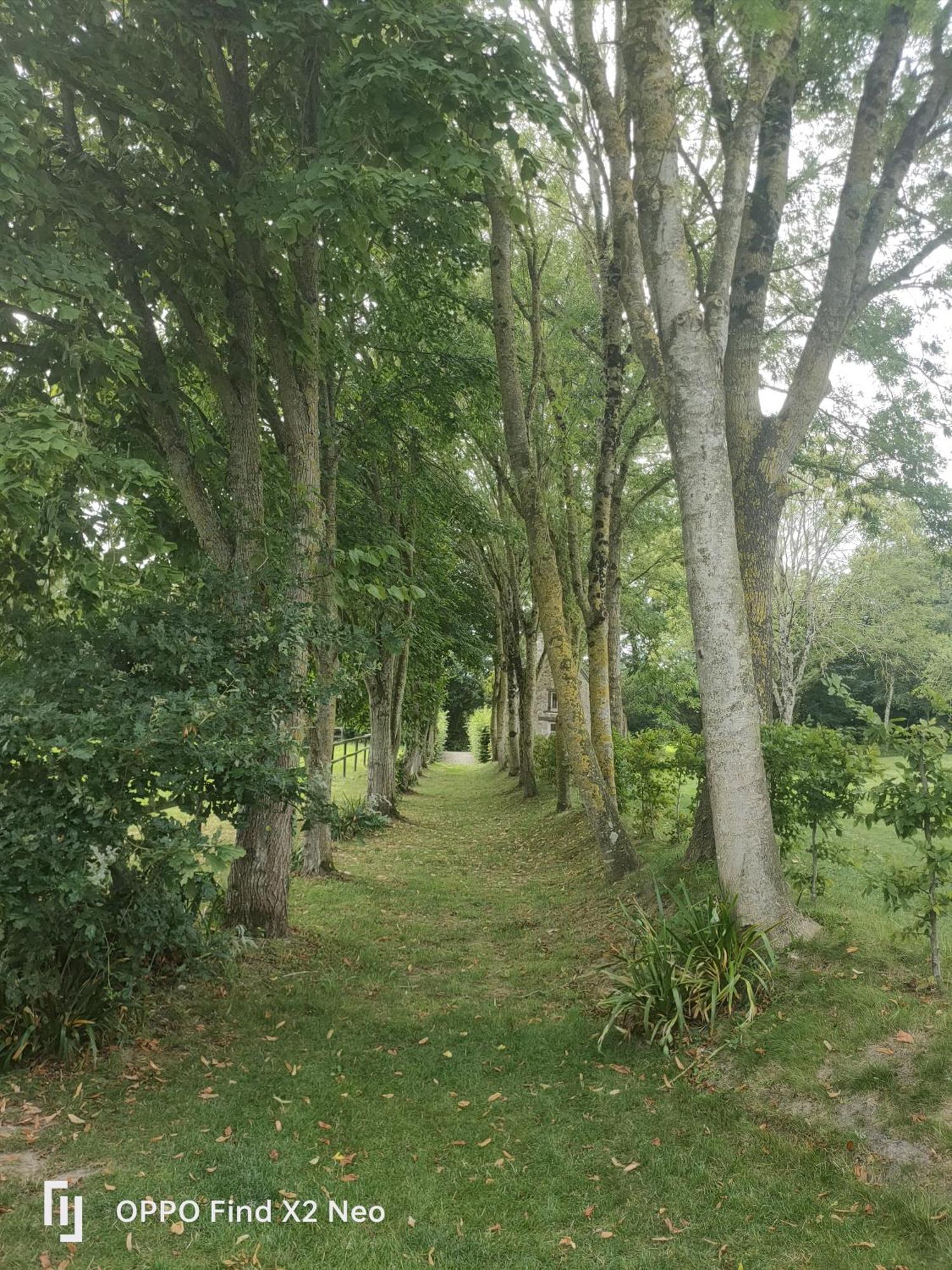 Domaine Du Manoir De Vains酒店 外观 照片
