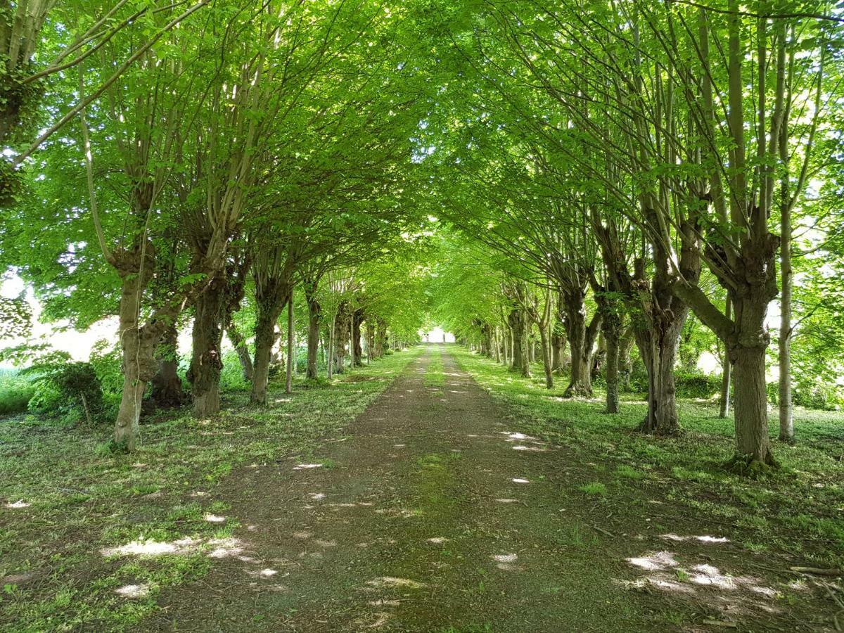 Domaine Du Manoir De Vains酒店 外观 照片
